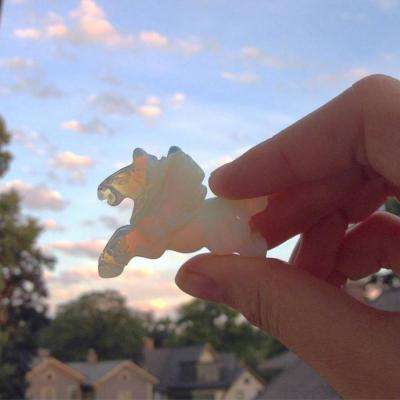 乐鱼app登录入口app下载