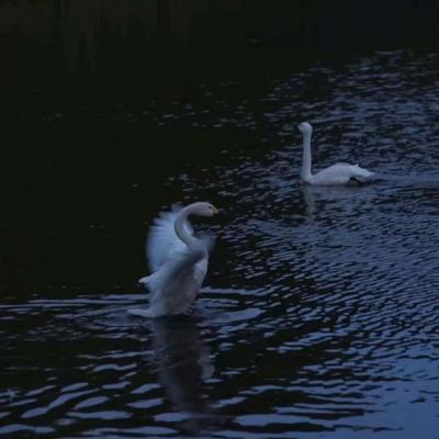 南宫体育app下载下载手机版