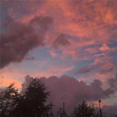 Bsport体育在线官网