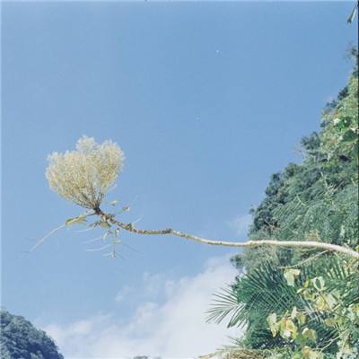 凤凰彩票app下载官网下载安卓