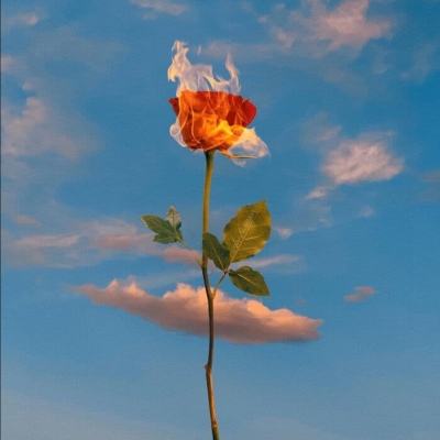 亚博网APP最新版本手机版