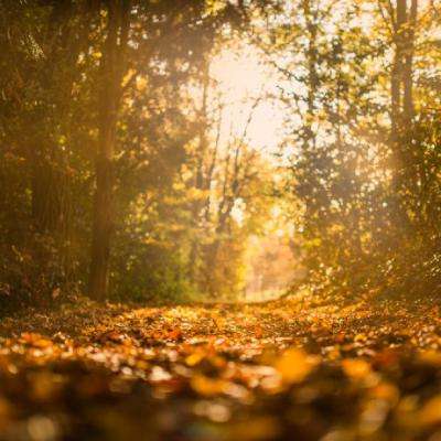 leyu乐鱼·体育下载手机版