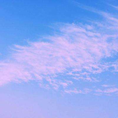 半岛官网入口网页版下载手机版