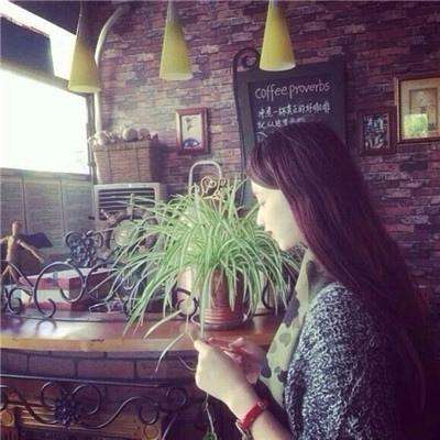 半岛官网入口网页版下载手机版截图